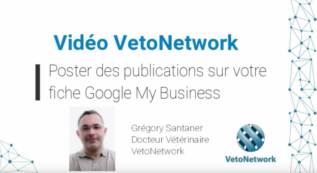 Vetonetwork-Google-my-business