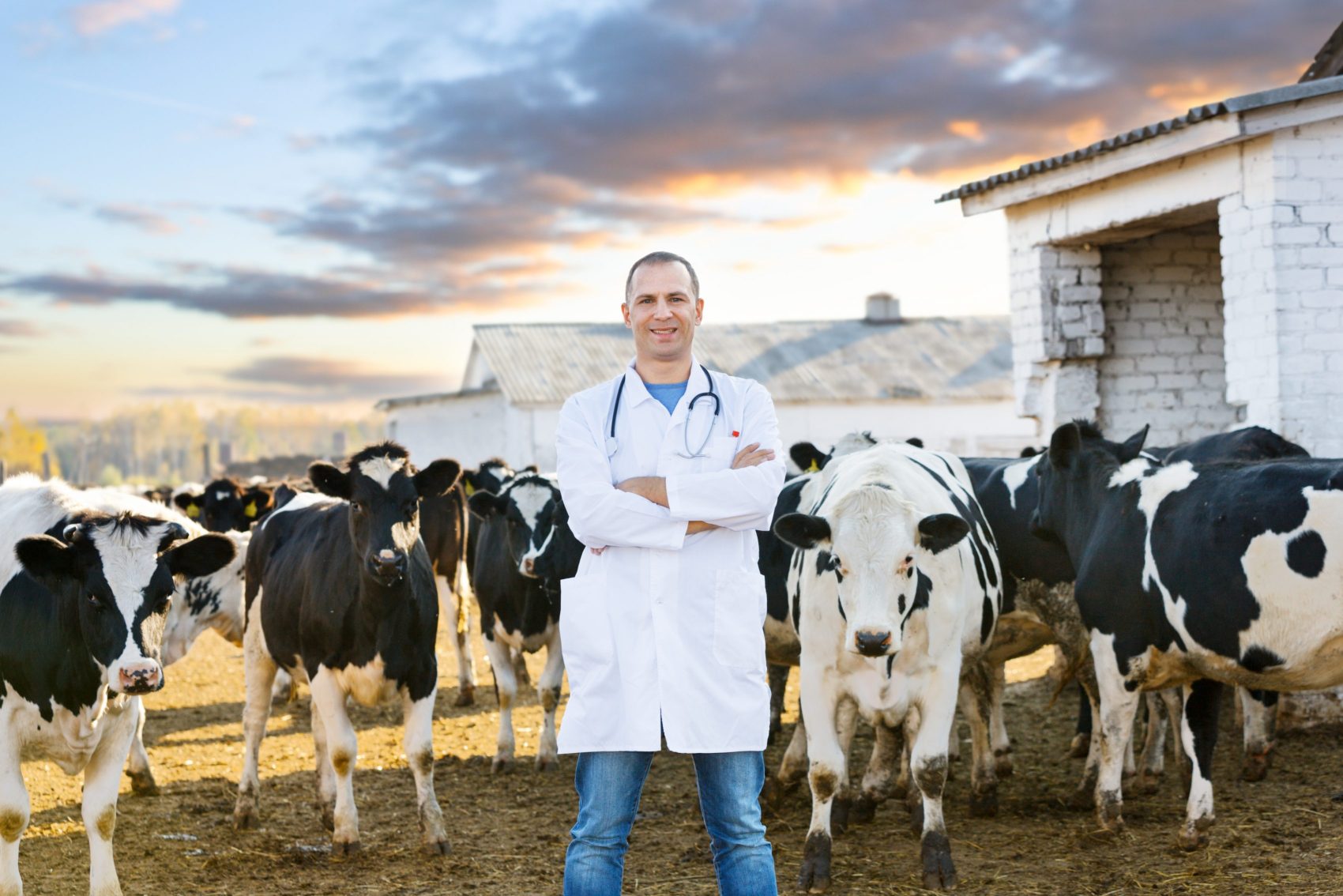 vétérinaire rural heureux