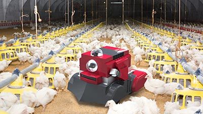 Octopus-Poultry-Safe-robot